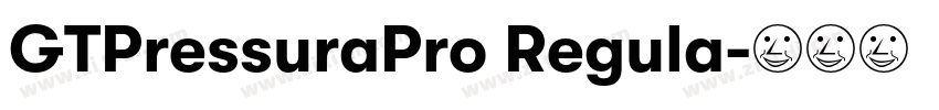 GTPressuraPro Regula字体转换
